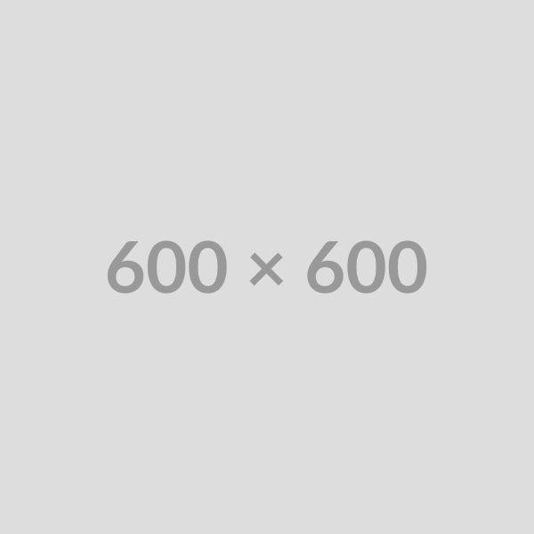 Metallic Pleated Maxi Skirt